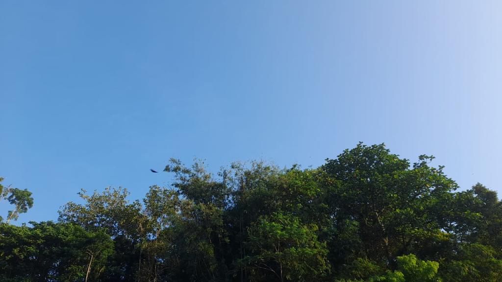 Prakiraan Cuaca Kota Banjar Hari Ini, Senin 18 Mei 2026