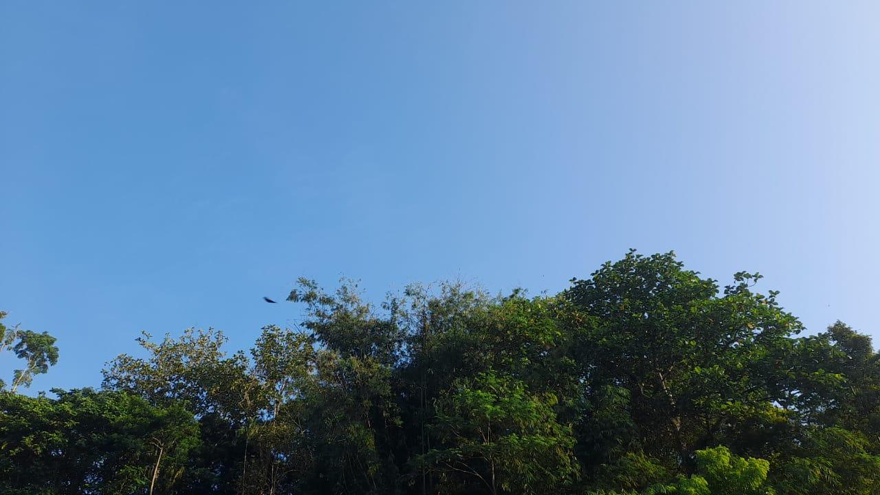 Prakiraan Cuaca Kota Banjar Hari Ini, Jumat 3 Juli 2026