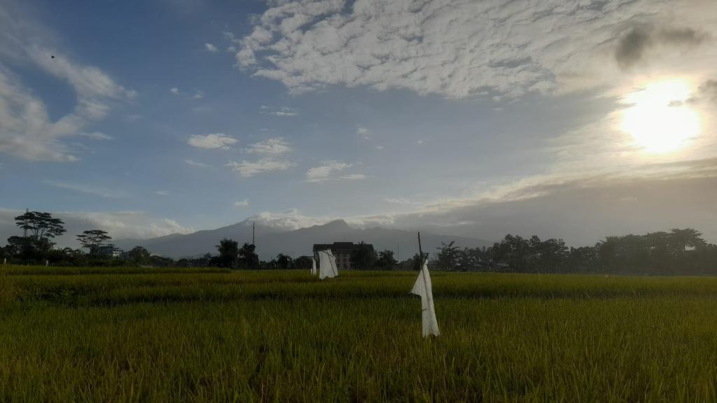 Prakiraan Cuaca Kota Tasikmalaya Hari Ini, Minggu 24 Agustus 2025
