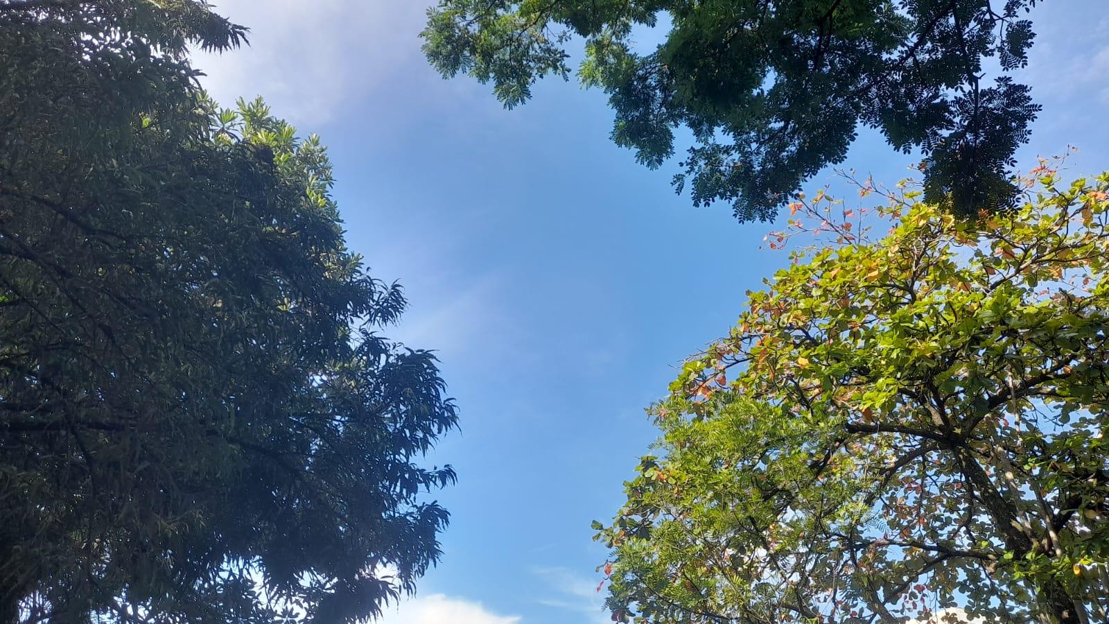 Prakiraan Cuaca Kabupaten Tasikmalaya Hari Ini, Selasa 26 Mei 2026