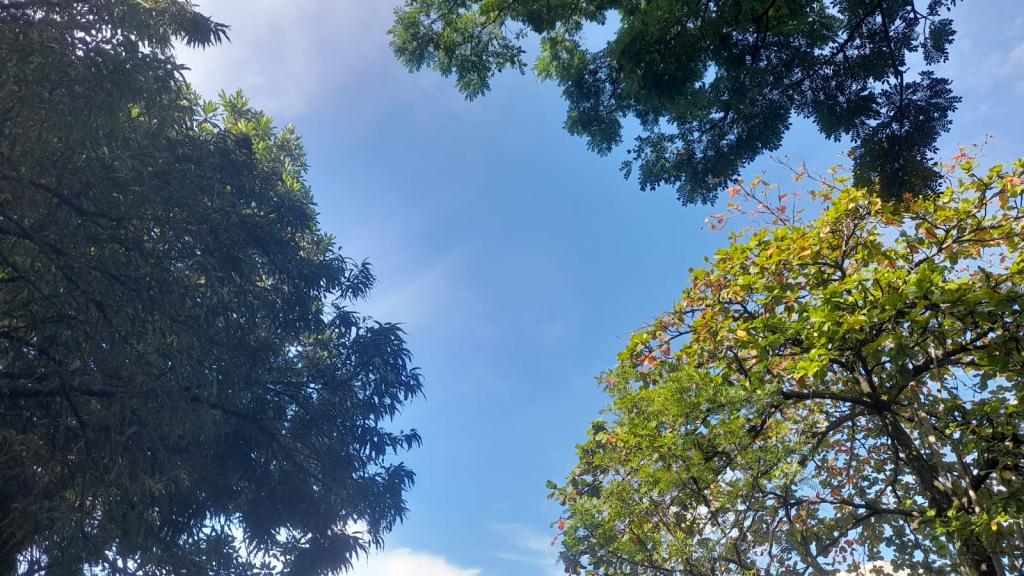 Prakiraan Cuaca Kota Banjar Hari Ini, Kamis 13 Agustus 2026