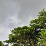 Prakiraan Cuaca Kabupaten Ciamis Hari Ini, Jumat 24 April 2026