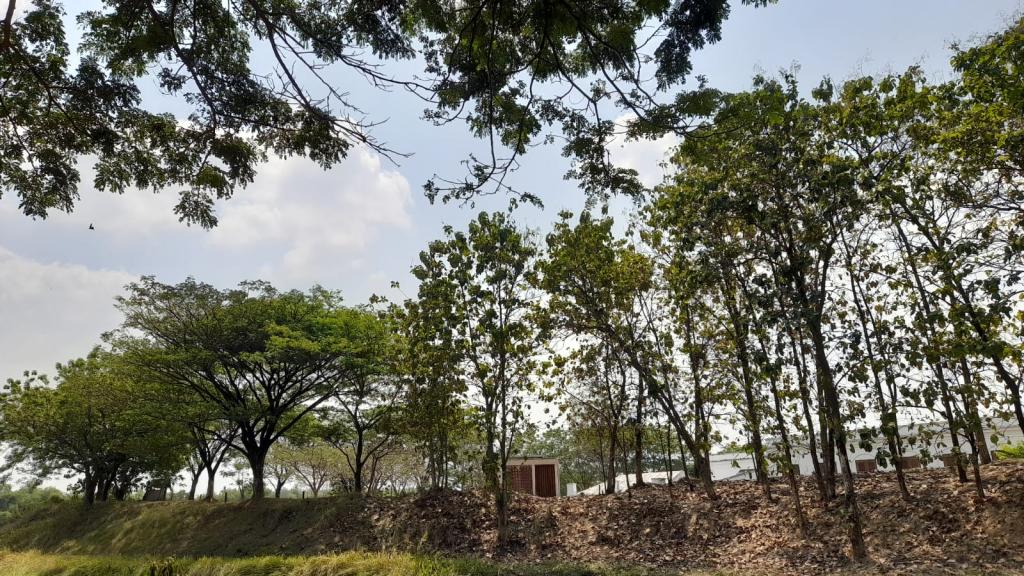 Prakiraan Cuaca Kabupaten Ciamis Hari Ini, Minggu 13 September 2026