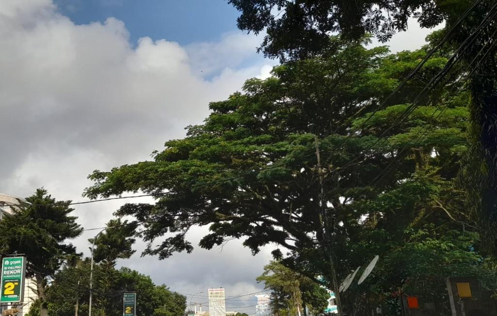 Prakiraan Cuaca Kabupaten Ciamis Hari Ini, Minggu 31 Mei 2026