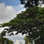 Prakiraan Cuaca Kabupaten Tasikmalaya Hari Ini, Minggu 9 Agustus 2026