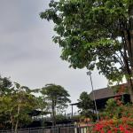 Prakiraan Cuaca Kabupaten Garut Hari Ini, Minggu 25 Oktober 2026