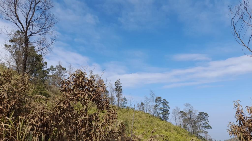 Prakiraan Cuaca Kabupaten Garut Hari Ini, Minggu 9 Agustus 2026