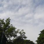 Prakiraan Cuaca Kabupaten Ciamis Hari Ini, Minggu 5 Juli 2026