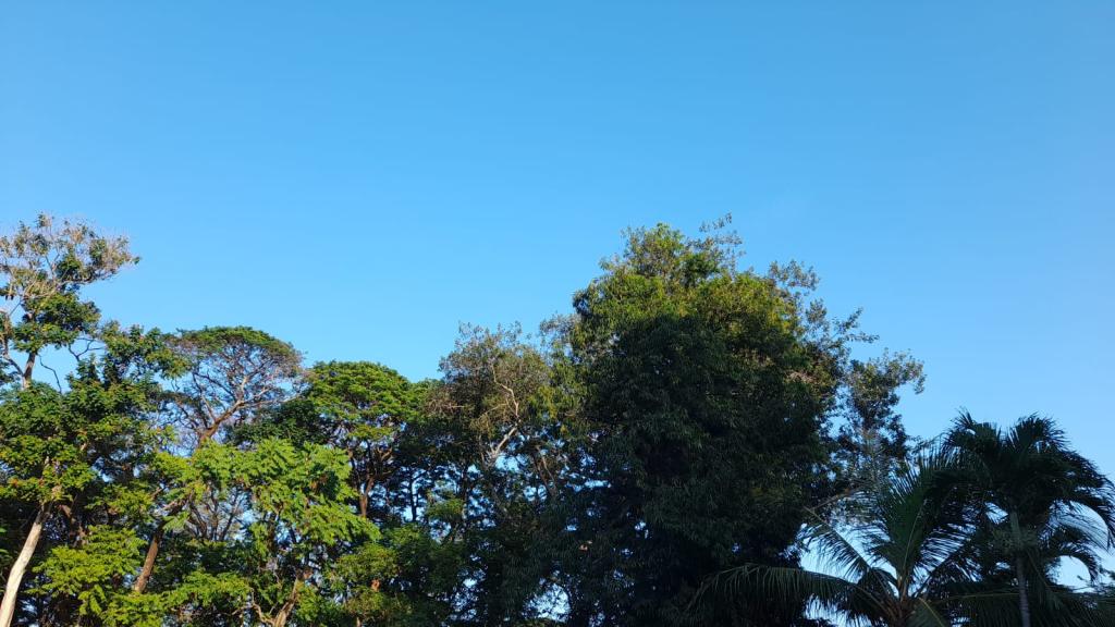 Prakiraan Cuaca Kabupaten Ciamis Hari Ini, Rabu 14 Oktober 2026