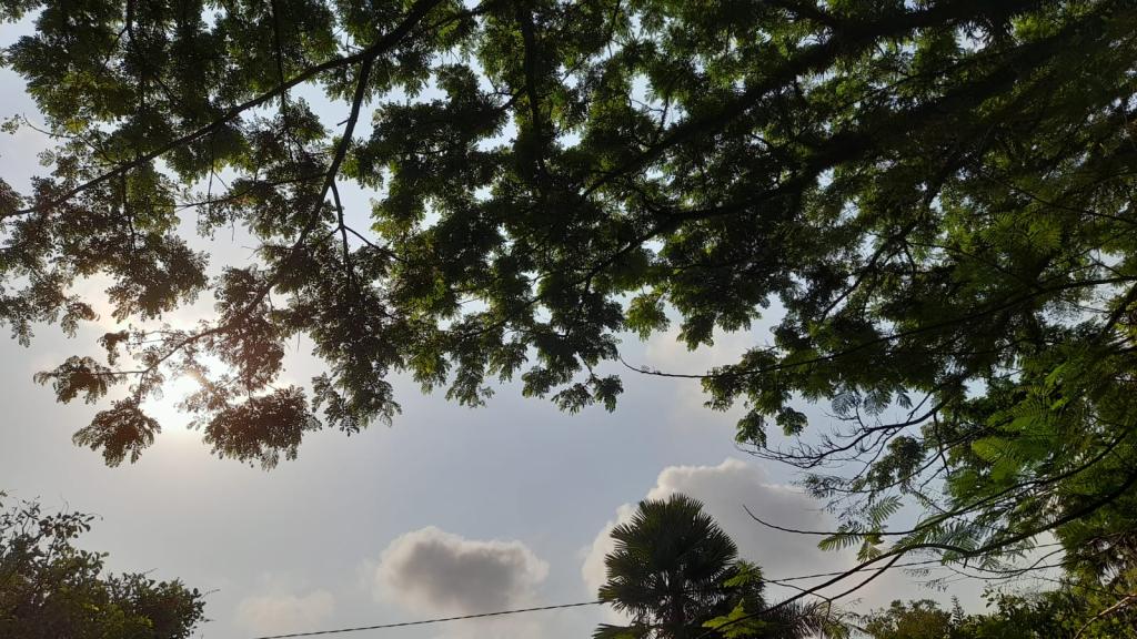 Prakiraan Cuaca Kabupaten Tasikmalaya Hari Ini, Selasa 30 Desember 2025
