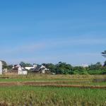 Prakiraan Cuaca Kabupaten Garut Hari Ini, Kamis 13 Agustus 2026