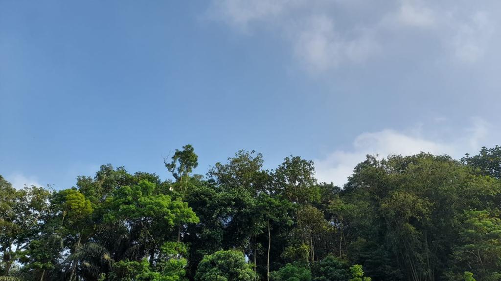 Prakiraan Cuaca Kabupaten Ciamis Hari Ini, Minggu 16 Agustus 2026