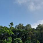 Prakiraan Cuaca Kabupaten Ciamis Hari Ini, Minggu 16 Agustus 2026