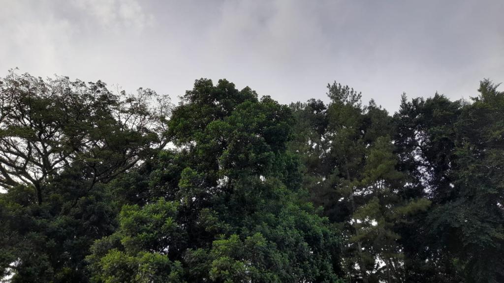 Prakiraan Cuaca Kota Banjar Hari Ini, Jumat 1 Mei 2026