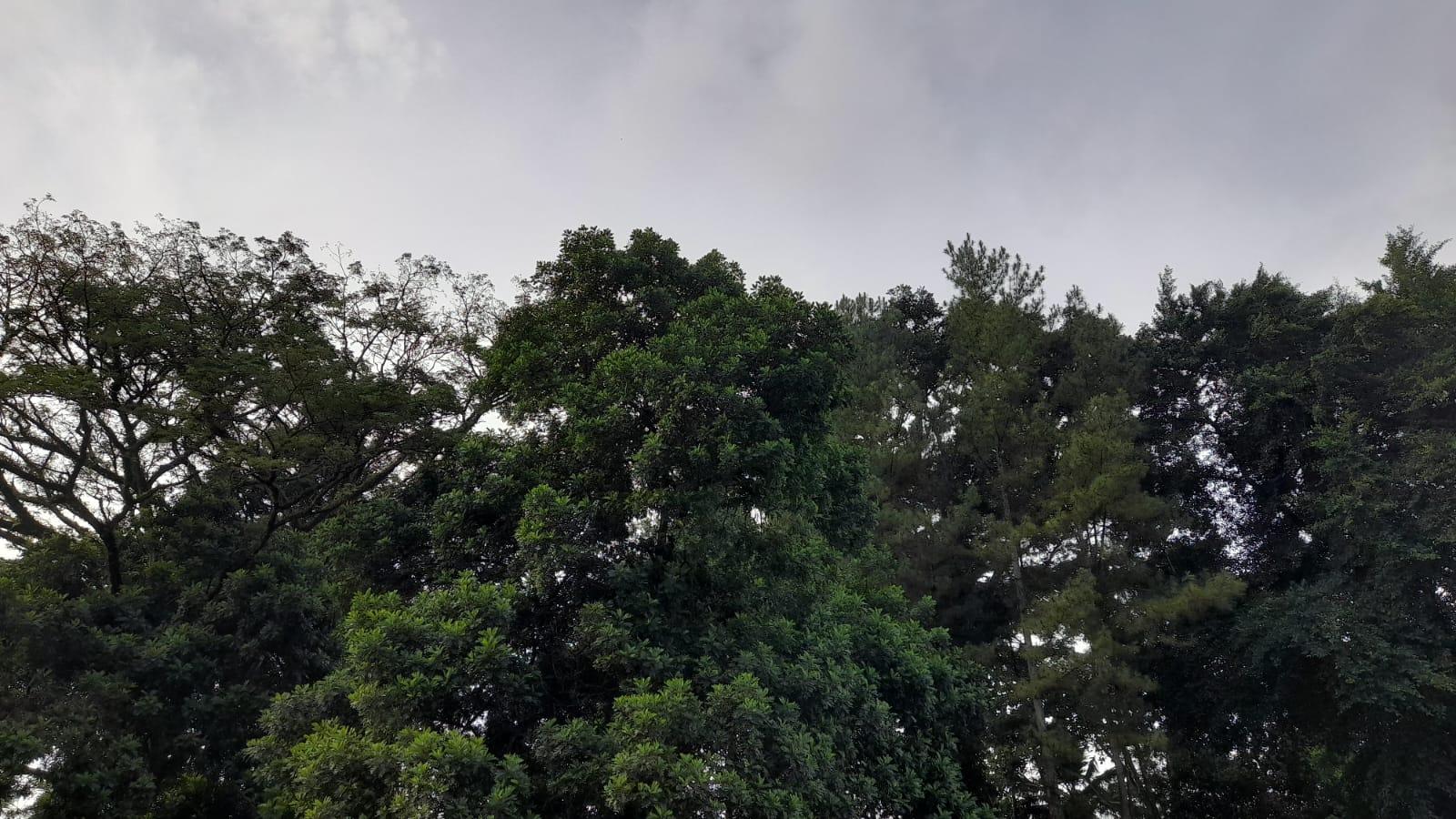 Prakiraan Cuaca Kota Banjar Hari Ini, Jumat 1 Mei 2026