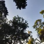 Prakiraan Cuaca Kota Banjar Hari Ini, Rabu 26 Agustus 2026