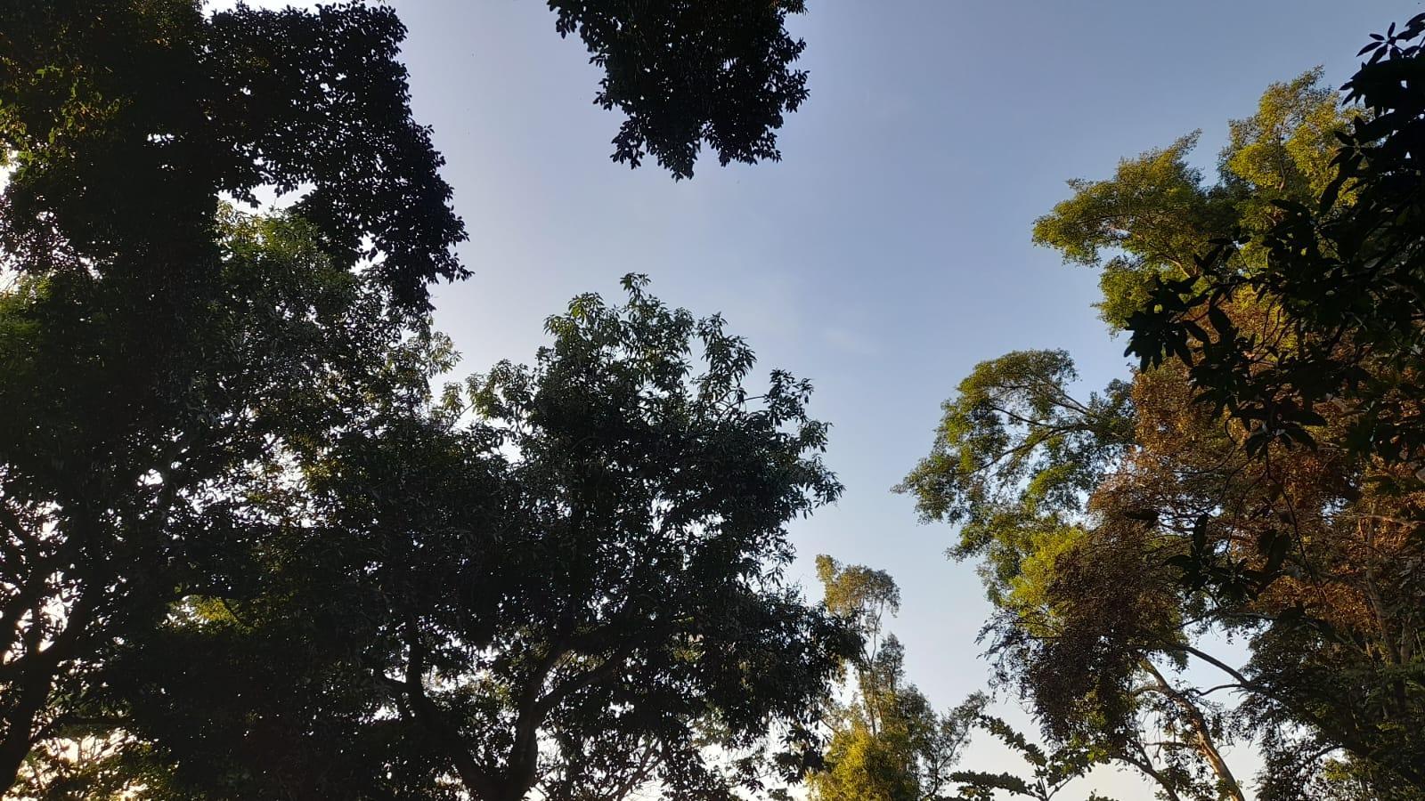 Prakiraan Cuaca Kabupaten Ciamis Hari Ini, Kamis 22 Oktober 2026