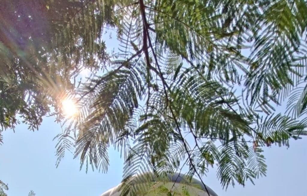 Prakiraan Cuaca Kabupaten Garut Hari Ini, Jumat 28 Agustus 2026