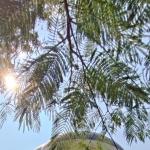 Prakiraan Cuaca Kabupaten Garut Hari Ini, Jumat 28 Agustus 2026
