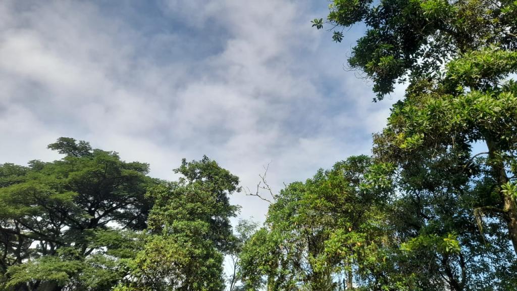 Prakiraan Cuaca Kabupaten Garut Hari Ini, Selasa 6 Januari 2026