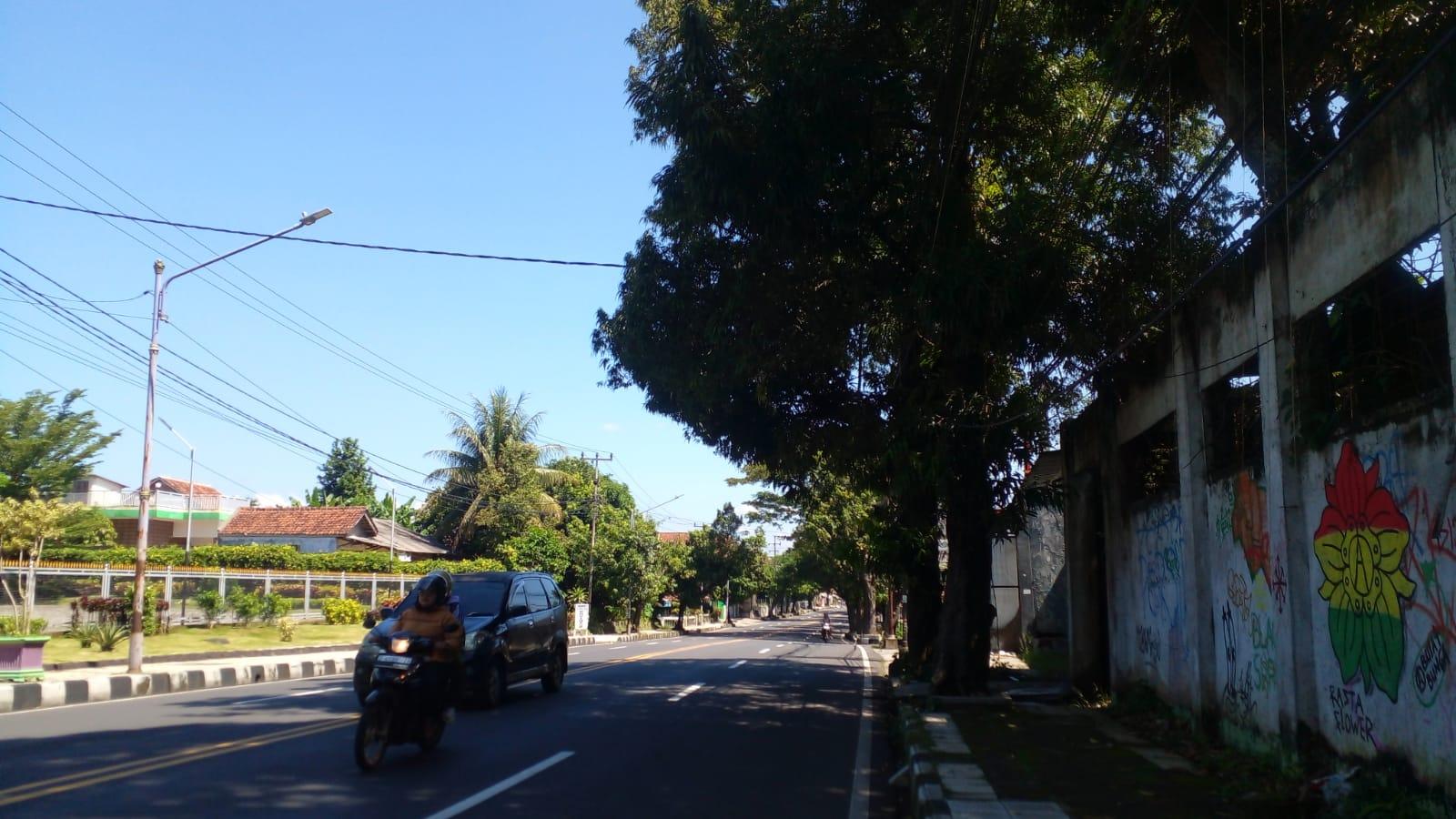 188 Pohon di Jalur Nasional Ciamis Rawan Tumbang, BPBD Peringatkan Bahaya Saat Cuaca Ekstrem