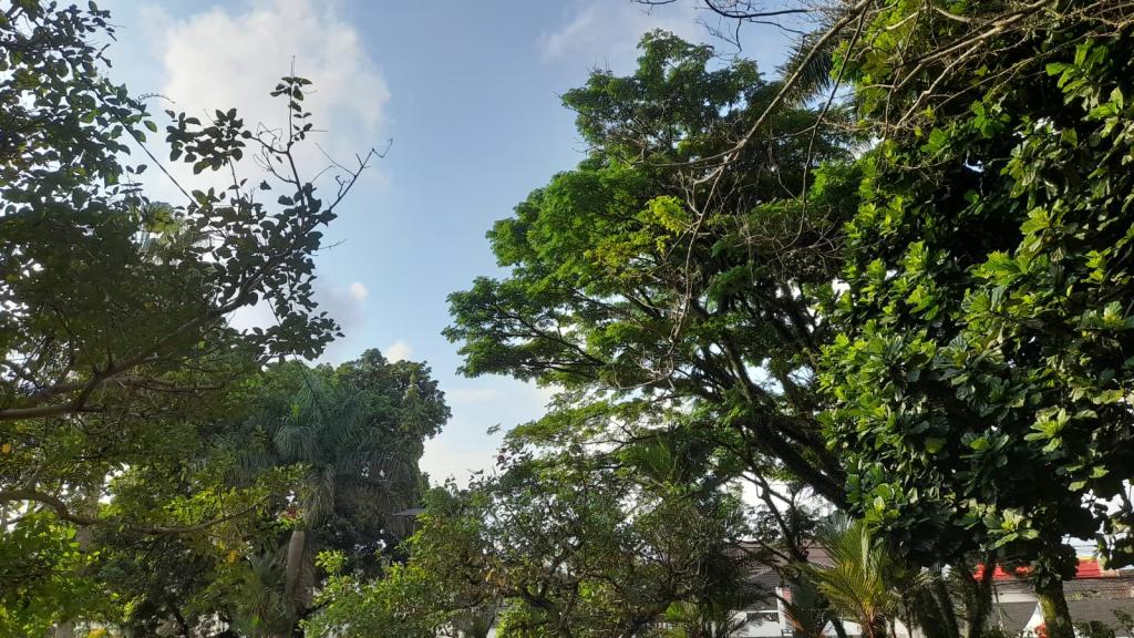 Prakiraan Cuaca Kabupaten Ciamis Hari Ini, Senin 20 April 2026