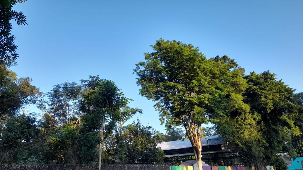 Prakiraan Cuaca Kota Banjar Hari Ini, Minggu 30 Agustus 2026