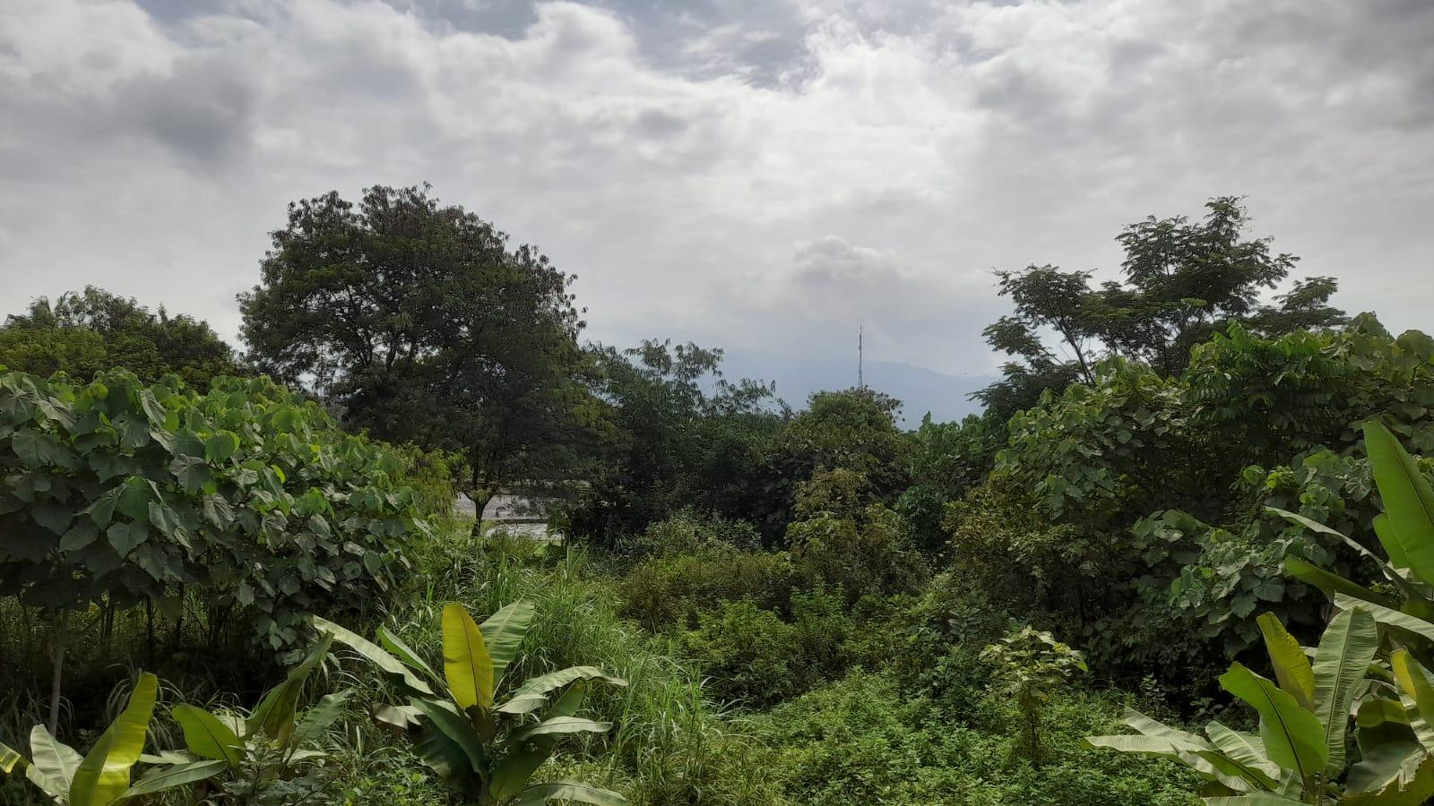Prakiraan Cuaca Kota Banjar Hari Ini, Kamis 8 Januari 2026