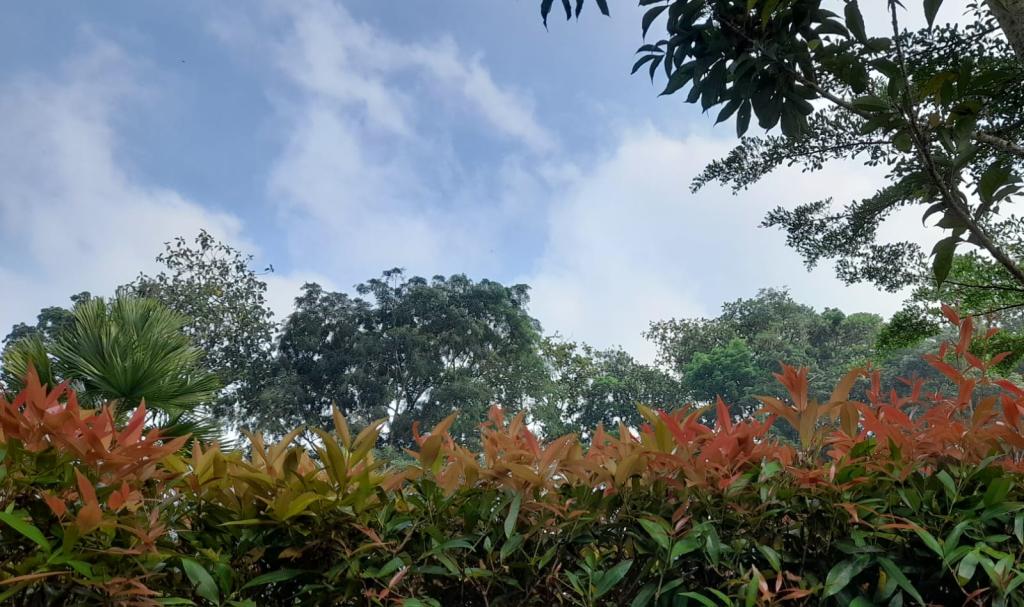 Prakiraan Cuaca Kota Tasikmalaya Hari Ini, Selasa 11 Agustus 2026