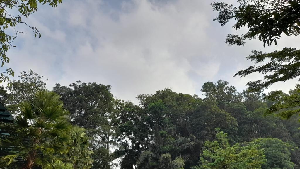 Prakiraan Cuaca Kota Tasikmalaya Hari Ini, Selasa 22 September 2026