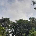 Prakiraan Cuaca Kota Tasikmalaya Hari Ini, Selasa 22 September 2026