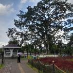 Prakiraan Cuaca Kabupaten Tasikmalaya Hari Ini, Selasa 22 September 2026