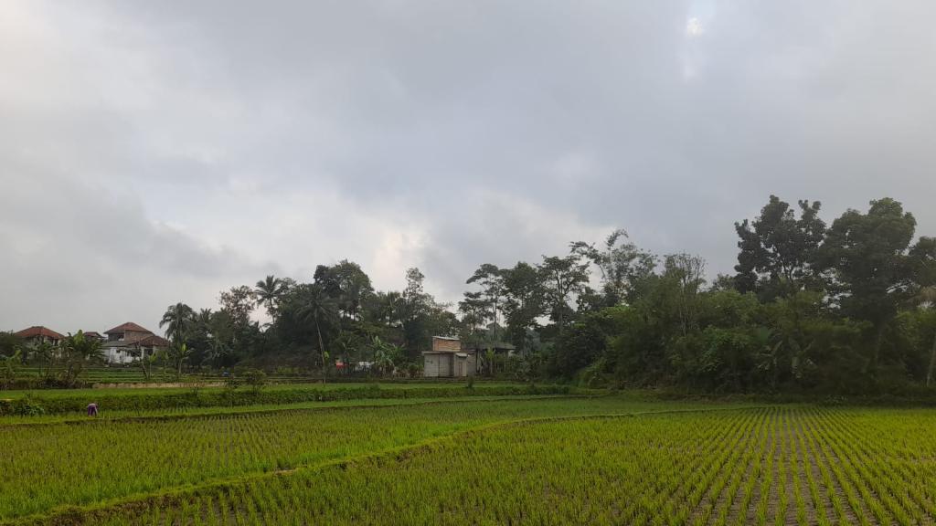Prakiraan Cuaca Kabupaten Garut Hari Ini, Sabtu 9 Mei 2026