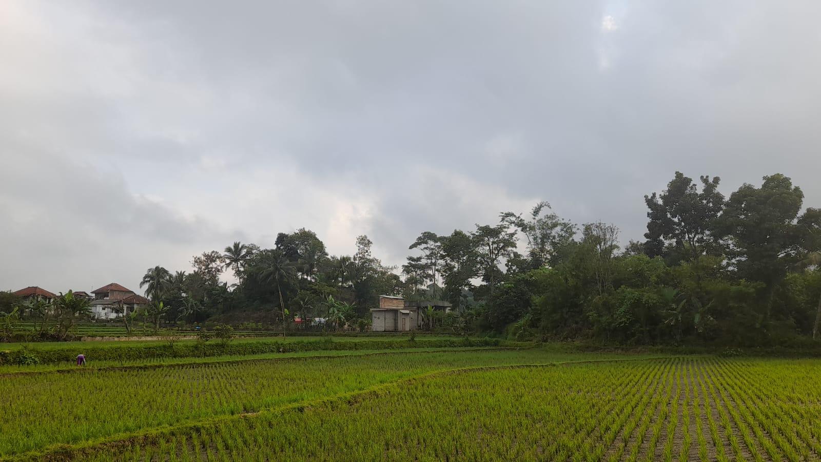 Prakiraan Cuaca Kabupaten Ciamis Hari Ini, Senin 5 Januari 2026