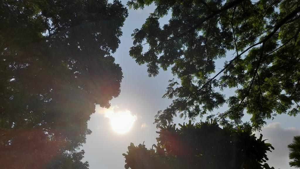 Prakiraan Cuaca Kabupaten Pangandaran Hari Ini, Kamis 23 April 2026