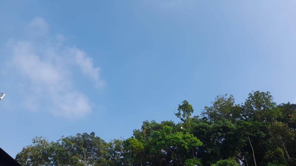 Prakiraan Cuaca Kabupaten Pangandaran Hari Ini, Minggu 10 Mei 2026