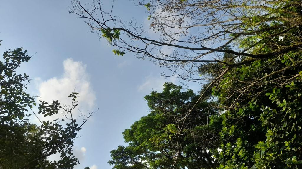 Prakiraan Cuaca Kabupaten Pangandaran Hari Ini, Senin 12 Januari 2026