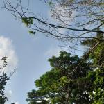 Prakiraan Cuaca Kabupaten Garut Hari Ini, Minggu 16 Agustus 2026