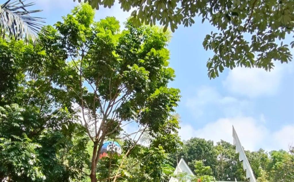 Prakiraan Cuaca Kabupaten Pangandaran Hari Ini, Minggu 27 Juli 2025