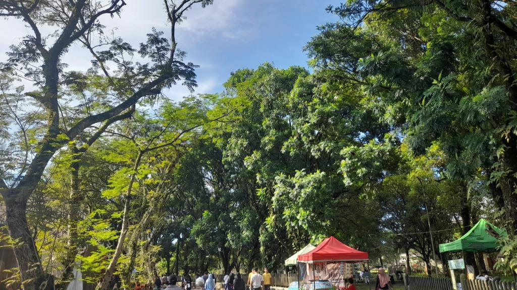 Prakiraan Cuaca Kabupaten Ciamis Hari Ini, Senin 17 Agustus 2026