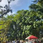 Prakiraan Cuaca Kabupaten Ciamis Hari Ini, Senin 17 Agustus 2026