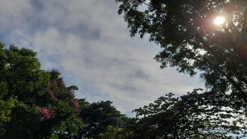 Prakiraan Cuaca Kabupaten Tasikmalaya Hari Ini, Minggu 31 Mei 2026