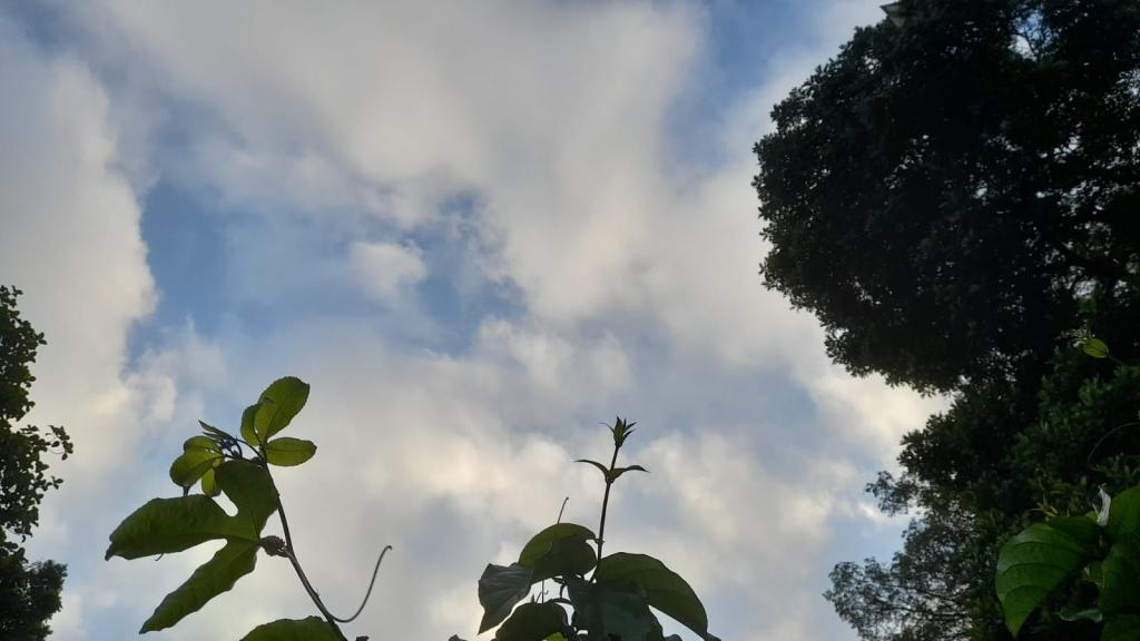 Prakiraan Cuaca Kabupaten Tasikmalaya Hari Ini, Selasa 11 November 2025