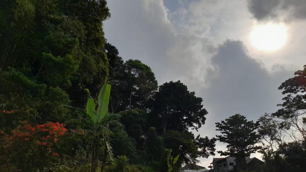 Prakiraan Cuaca Kabupaten Pangandaran Hari Ini, Senin 1 Juni 2026