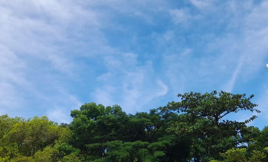 Prakiraan Cuaca Kabupaten Ciamis Hari Ini, Minggu 12 Juli 2026