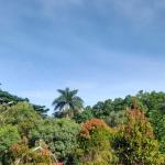 Prakiraan Cuaca Kabupaten Garut Hari Ini, Jumat 19 Juni 2026