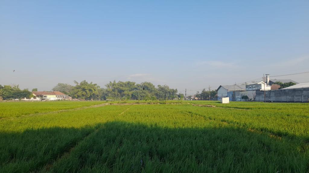 Prakiraan Cuaca Kabupaten Tasikmalaya Hari Ini, Minggu 20 September 2026