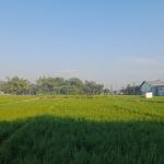 Prakiraan Cuaca Kabupaten Tasikmalaya Hari Ini, Minggu 20 September 2026