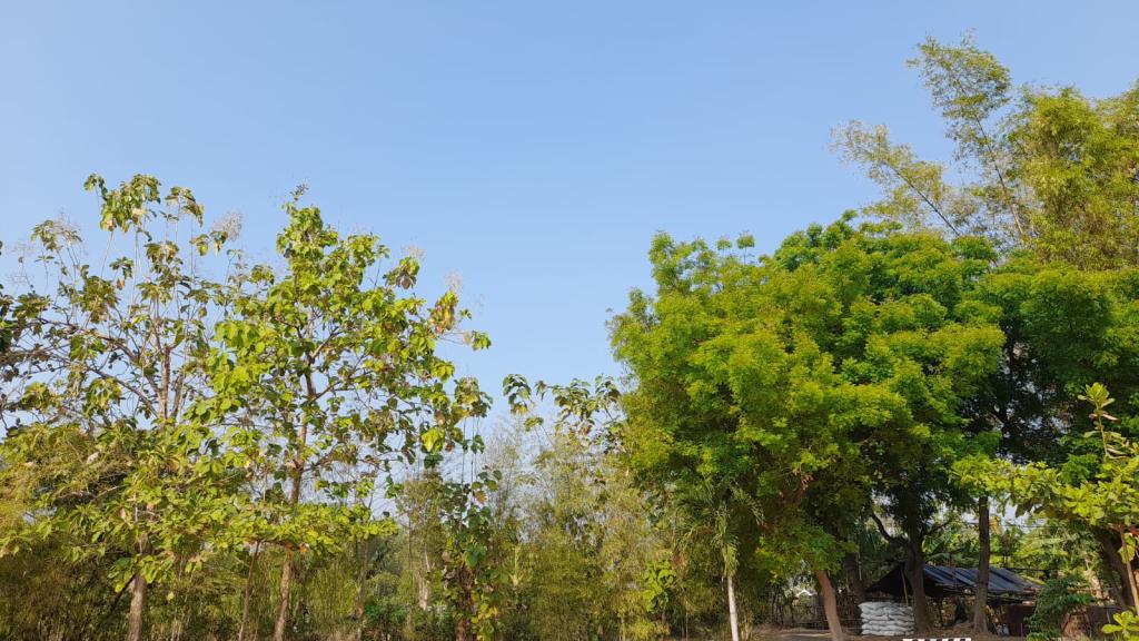Prakiraan Cuaca Kabupaten Garut Hari Ini, Minggu 20 September 2026