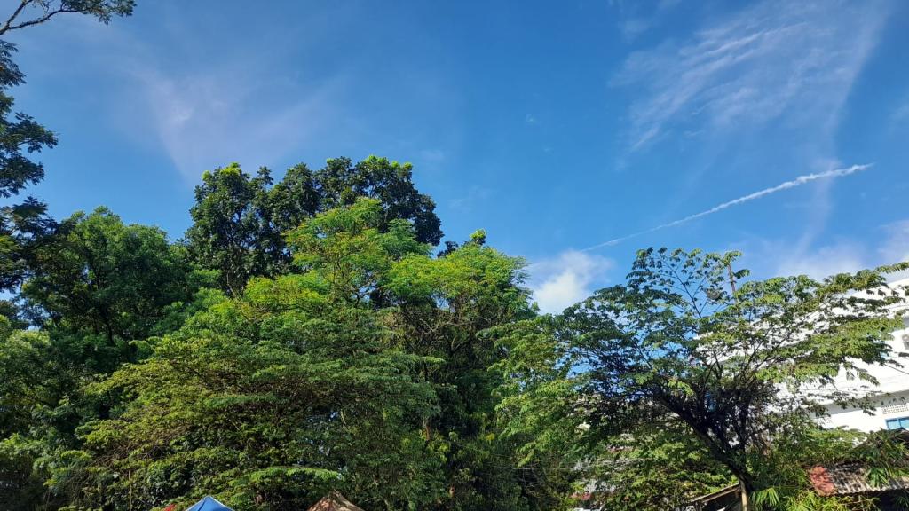 Prakiraan Cuaca Kabupaten Tasikmalaya Hari Ini, Sabtu 25 Juli 2026